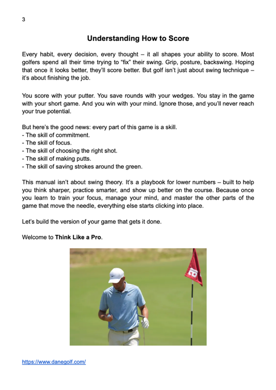 Think Like A Pro: E-book & Video Course