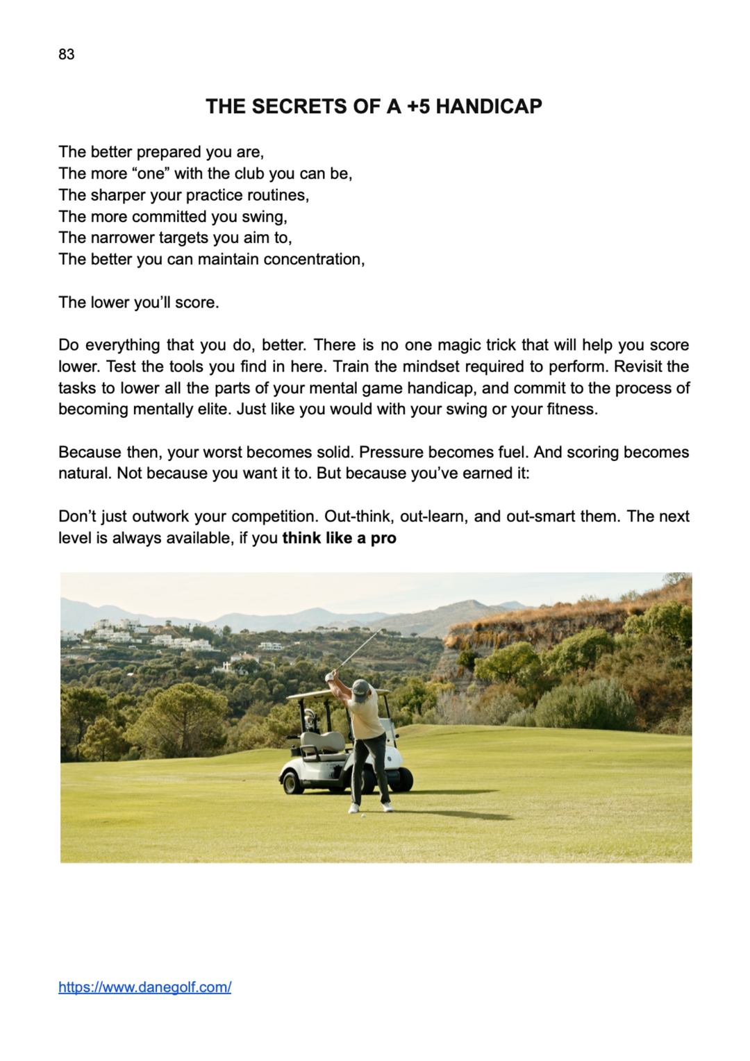 Think Like A Pro: E-book & Video Course