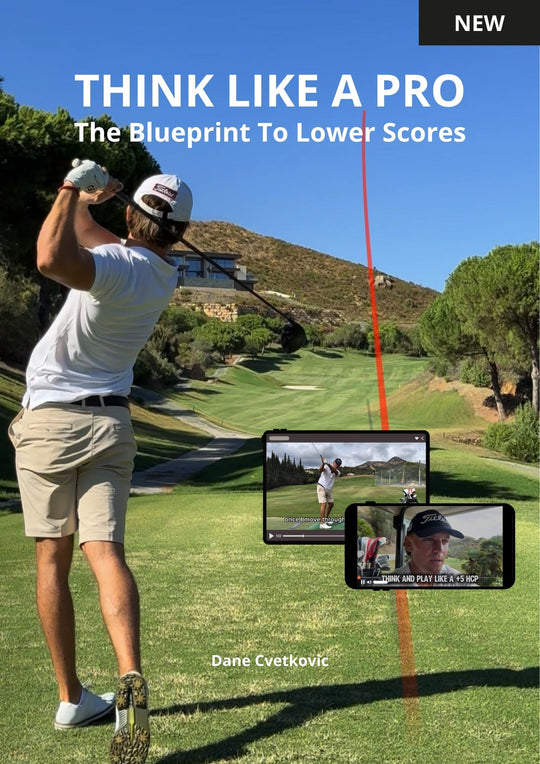 Think Like A Pro: E-book & Video Course