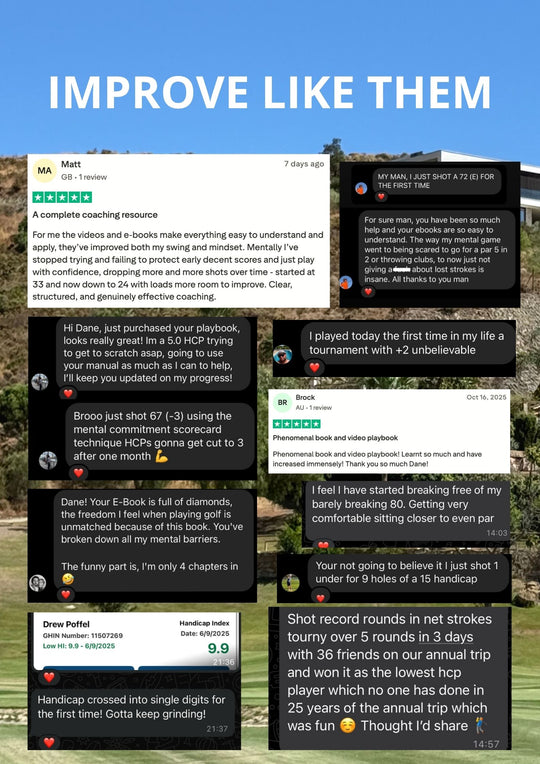 Think Like A Pro: E-book & Video Course