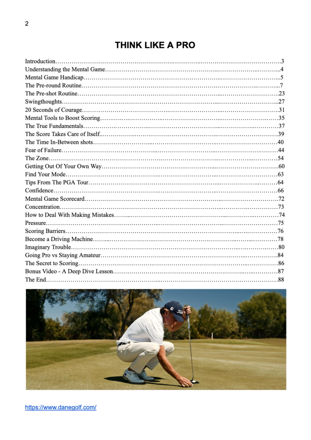 Think Like A Pro: E-book & Video Course