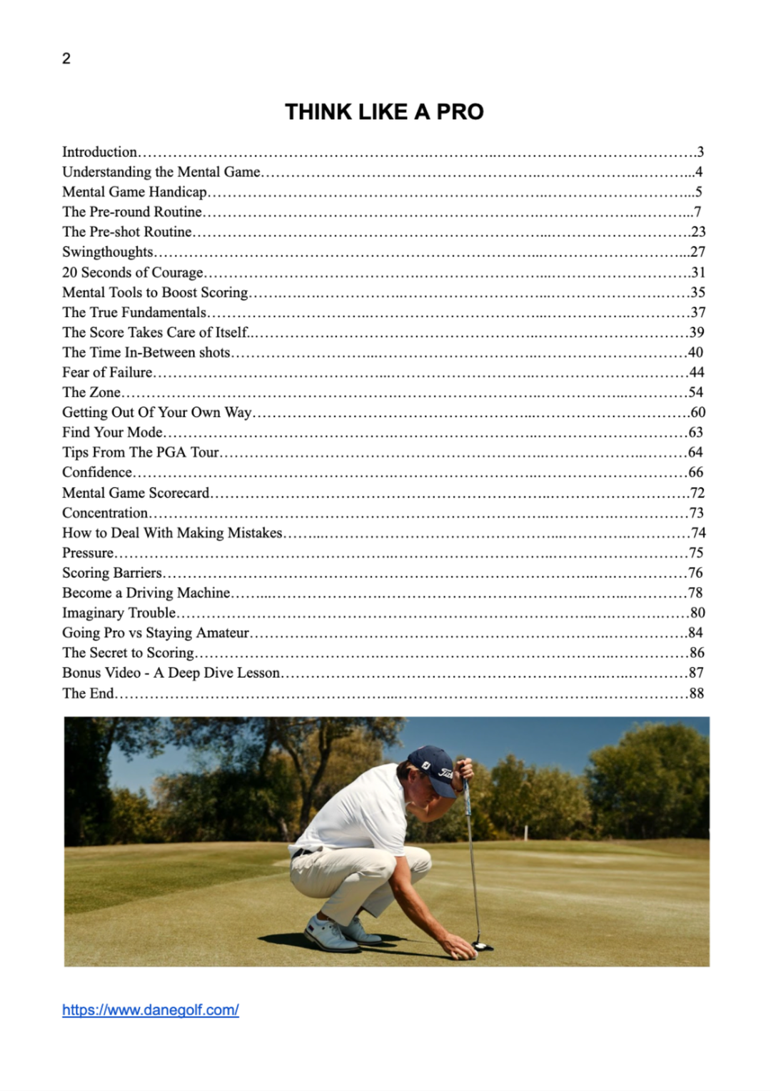 Think Like A Pro: E-book & Video Course