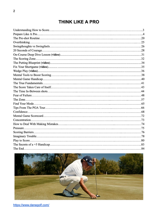 Think Like A Pro: E-book & Video Course